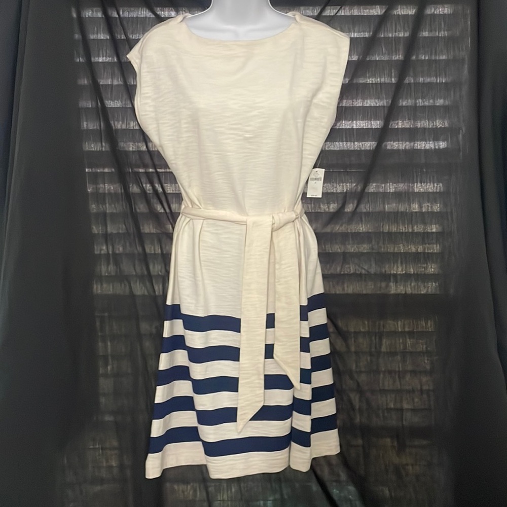 GAP Small Ladies Sleeveless Knit Sweater Dress